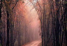 半岛体育在线登录-马德里竞技大将复出，球队实力大增：新赛季罩得更亮