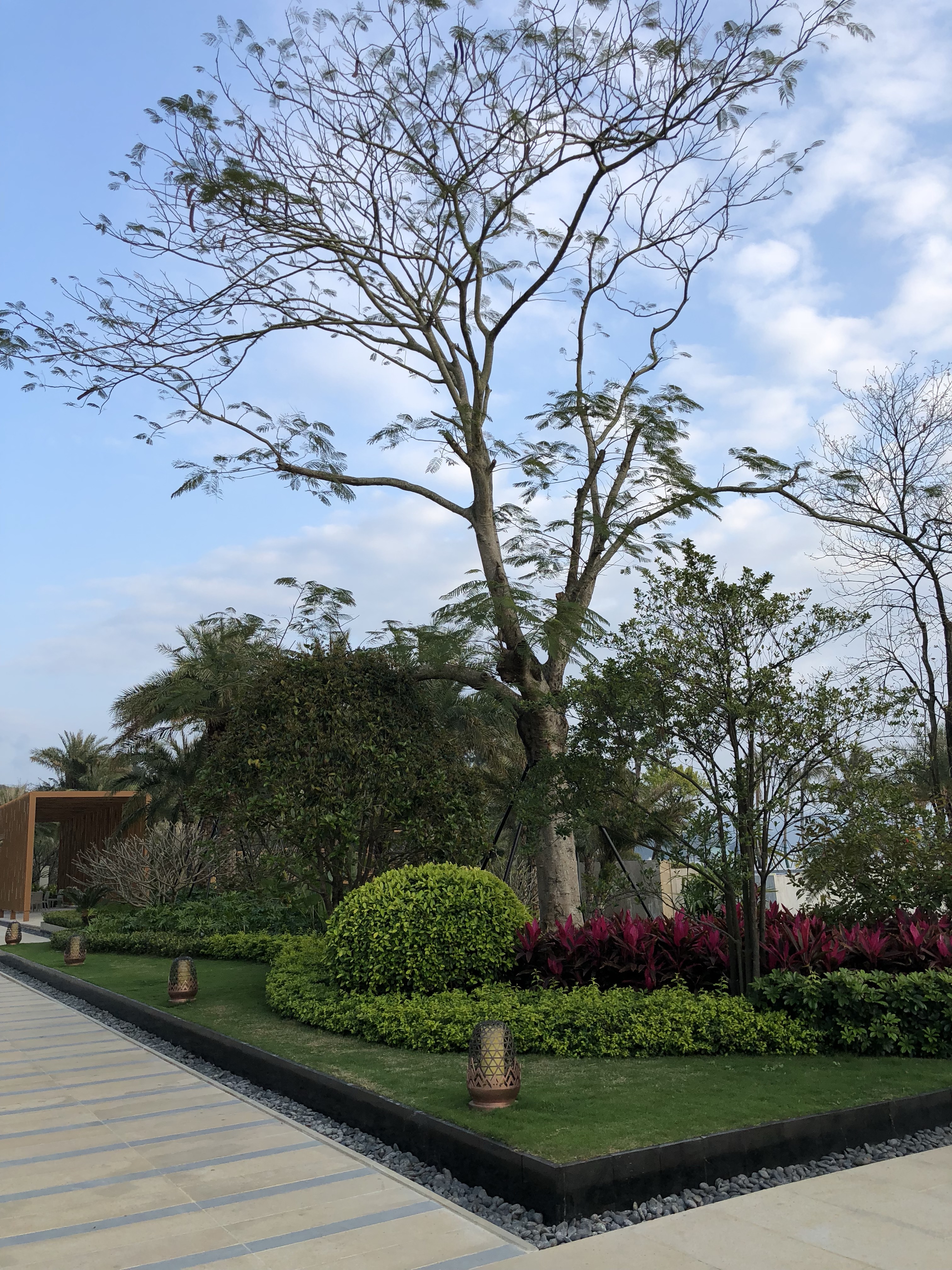 半岛体育网页版-深圳佳兆业主场0-3不敌贵州智诚，主场保级压力倍增！的简单介绍