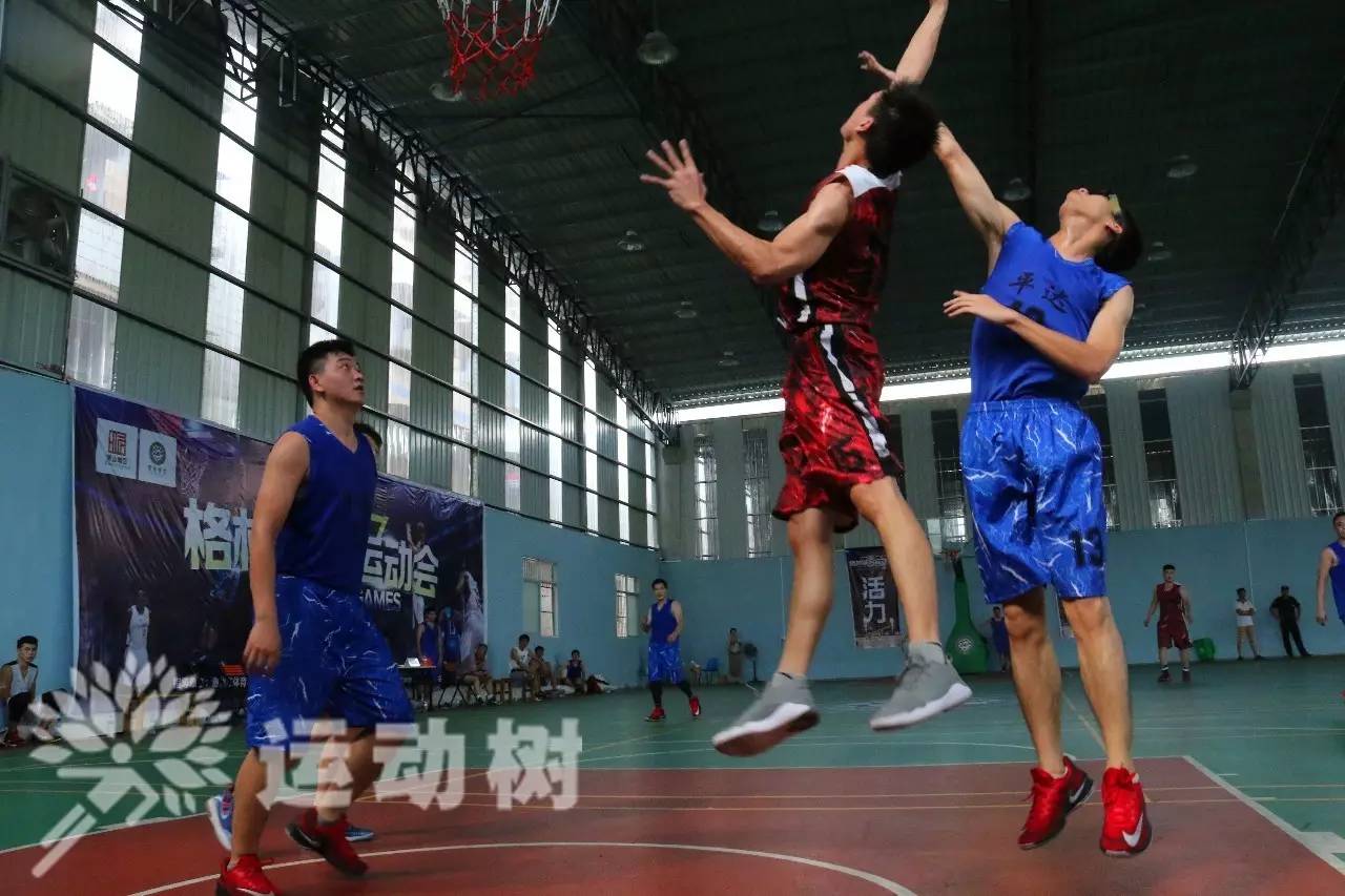 半岛体育在线登录-苦战胜利，球队展现出色团队合作的简单介绍